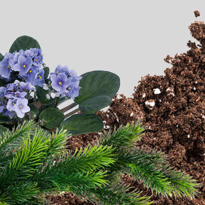 graberde bubblenavibild